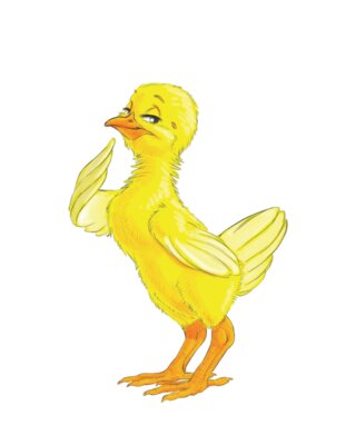 T shirt Chicky